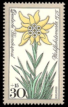 30 + 15 Pf Briefmarke: Wohlfahrtsmarke 1975, Alpenblumen 30 + 15 Pf Briefmarke: Wohlfahrtsmarke 1975, Alpenblumen