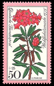 50 + 25 Pf Briefmarke: Wohlfahrtsmarke 1975, Alpenblumen