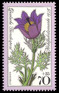70 + 35 Pf Briefmarke: Wohlfahrtsmarke 1975, Alpenblumen