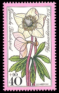 40 + 20 Pf Briefmarke: Weihnachtsmarke 1975 40 + 20 Pf Briefmarke: Weihnachtsmarke 1975