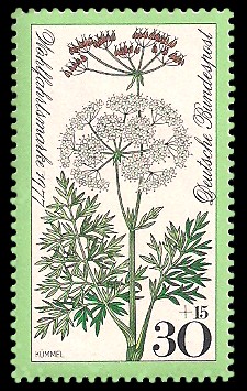 30 + 15 Pf Briefmarke: Wohlfahrtsmarke 1977, Wiesenpflanzen 30 + 15 Pf Briefmarke: Wohlfahrtsmarke 1977, Wiesenpflanzen