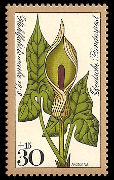30 + 15 Pf Briefmarke: Wohlfahrtsmarke 1978, Waldblumen
