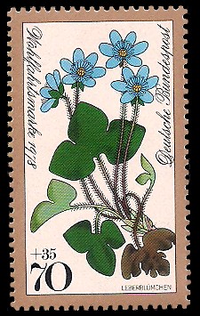 70 + 35 Pf Briefmarke: Wohlfahrtsmarke 1978, Waldblumen 70 + 35 Pf Briefmarke: Wohlfahrtsmarke 1978, Waldblumen