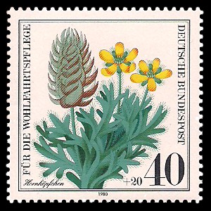 40 + 20 Pf Briefmarke: Für die Wohlfahrtspflege 1980, Ackerwildkräuter