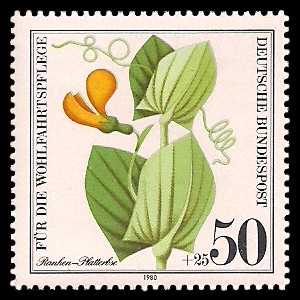 50 + 25 Pf Briefmarke: Für die Wohlfahrtspflege 1980, Ackerwildkräuter