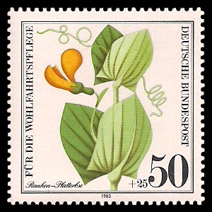50 + 25 Pf Briefmarke: Für die Wohlfahrtspflege 1980, Ackerwildkräuter 50 + 25 Pf Briefmarke: Für die Wohlfahrtspflege 1980, Ackerwildkräuter