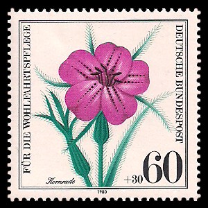 60 + 30 Pf Briefmarke: Für die Wohlfahrtspflege 1980, Ackerwildkräuter