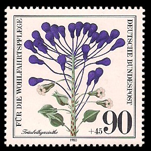 90 + 45 Pf Briefmarke: Für die Wohlfahrtspflege 1980, Ackerwildkräuter