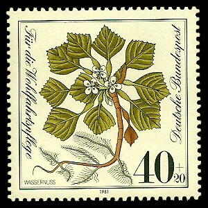 40 + 20 Pf Briefmarke: Für die Wohlfahrtspflege 1981, gefährdete Feuchtpflanzen