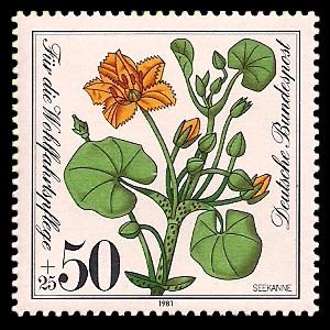 50 + 25 Pf Briefmarke: Für die Wohlfahrtspflege 1981, gefährdete Feuchtpflanzen