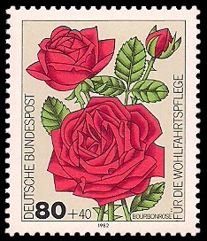 80 + 40 Pf Briefmarke: Für die Wohlfahrtspflege 1982, Rosen