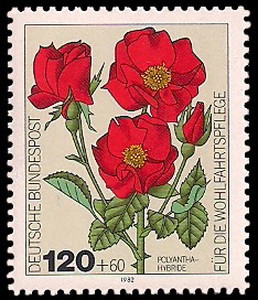 120 + 60 Pf Briefmarke: Für die Wohlfahrtspflege 1982, Rosen