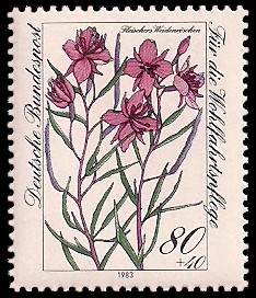 80 + 40 Pf Briefmarke: Für die Wohlfahrtspflege 1983, Alpenblumen