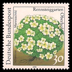30 Pf Briefmarke: Pflanzen im Rennsteiggarten Oberhof 30 Pf Briefmarke: Pflanzen im Rennsteiggarten Oberhof