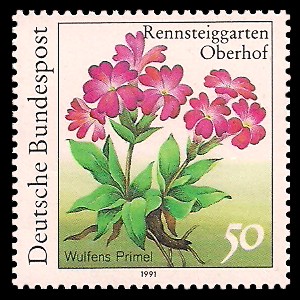 50 Pf Briefmarke: Pflanzen im Rennsteiggarten Oberhof