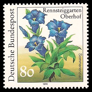 80 Pf Briefmarke: Pflanzen im Rennsteiggarten Oberhof