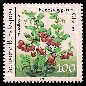 100 Pf Briefmarke: Pflanzen im Rennsteiggarten Oberhof