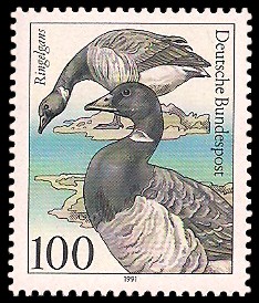 100 Pf Briefmarke: Wasser- /Seevögel