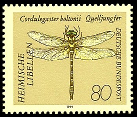 80 Pf Briefmarke: Heimische Libellen