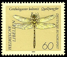 60 Pf Briefmarke: Heimische Libellen