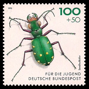 100 + 50 Pf Briefmarke: Für die Jugend 1993, Käfer