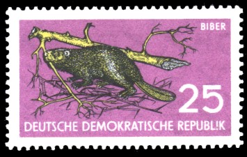 25 Pf Briefmarke: Naturschutz, Biber