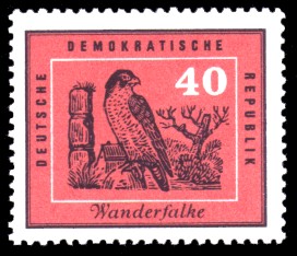 40 Pf Briefmarke: Heimische Vögel, Wanderfalke 40 Pf Briefmarke: Heimische Vögel, Wanderfalke