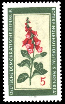 5 Pf Briefmarke: Therapeutische Arzneipflanzen, Roter Fingerhut