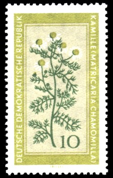 10 Pf Briefmarke: Therapeutische Arzneipflanzen, Kamille