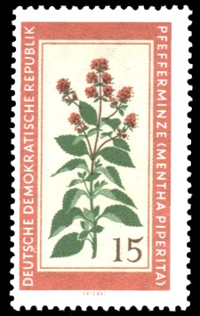 15 Pf Briefmarke: Therapeutische Arzneipflanzen, Pfefferminze