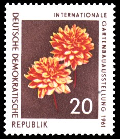 20 Pf Briefmarke: Internationale Gartenbauausstellung 1961, Dahlie 20 Pf Briefmarke: Internationale Gartenbauausstellung 1961, Dahlie