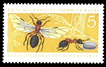 5 Pf Briefmarke: Nützliche geschützte Tiere, Rote Waldameise 5 Pf Briefmarke: Nützliche geschützte Tiere, Rote Waldameise