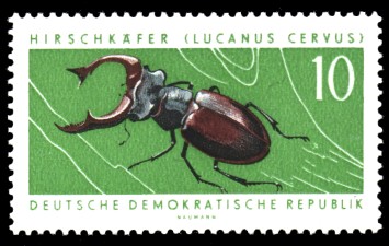 10 Pf Briefmarke: Geschützte Tiere, Hirschkäfer