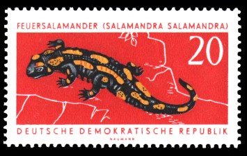 20 Pf Briefmarke: Geschützte Tiere, Feuersalamander 20 Pf Briefmarke: Geschützte Tiere, Feuersalamander
