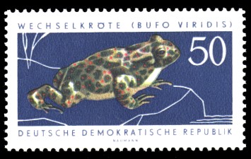 50 Pf Briefmarke: Geschützte Tiere, Wechselkröte