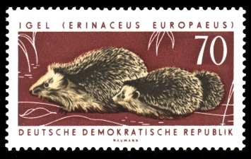 70 Pf Briefmarke: Geschützte Tiere, Igel 70 Pf Briefmarke: Geschützte Tiere, Igel