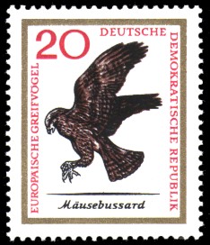 20 Pf Briefmarke: Europäische Greifvögel, Mäusebussard