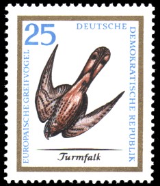 25 Pf Briefmarke: Europäische Greifvögel, Turmfalk 25 Pf Briefmarke: Europäische Greifvögel, Turmfalk