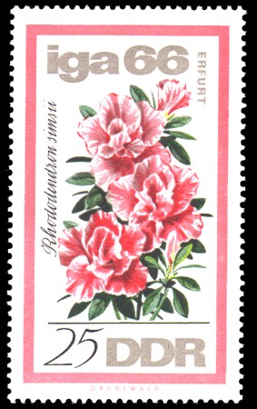 25 Pf Briefmarke: IGA 66, Rhododendron