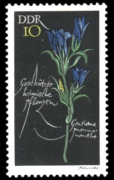 10 Pf Briefmarke: Geschützte heimische Pflanzen, Lungenenzian 10 Pf Briefmarke: Geschützte heimische Pflanzen, Lungenenzian