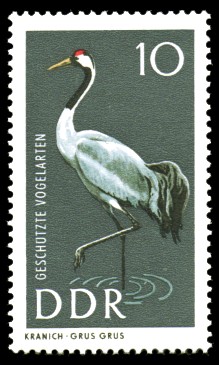 10 Pf Briefmarke: Geschützte Vogelarten, Kranich