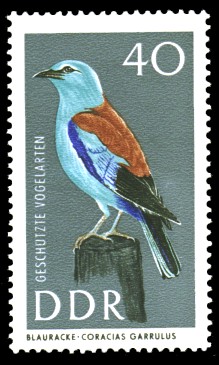 40 Pf Briefmarke: Geschützte Vogelarten, Blauracke