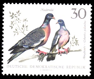 30 Pf Briefmarke: Niederwild, Ringeltaube 30 Pf Briefmarke: Niederwild, Ringeltaube