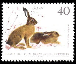 40 Pf Briefmarke: Niederwild, Hase 40 Pf Briefmarke: Niederwild, Hase