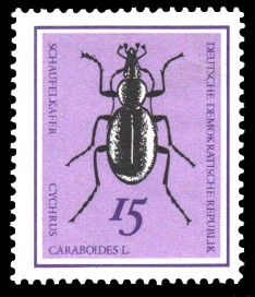 15 Pf Briefmarke: Nützliche Käfer, Schaufelkäfer 15 Pf Briefmarke: Nützliche Käfer, Schaufelkäfer