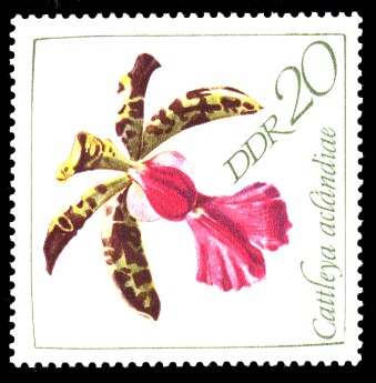 20 Pf Briefmarke: Orchideen