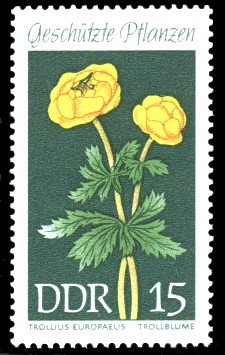 15 Pf Briefmarke: Geschützte Pflanzen, Trollblume