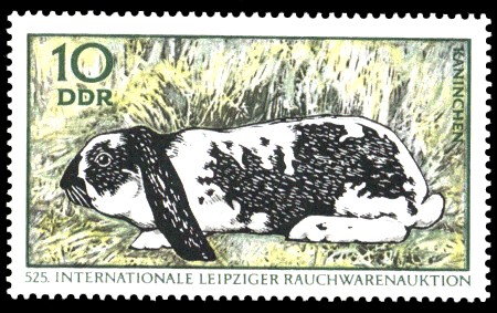 10 Pf Briefmarke: Internationale Rauchwarenauktion, Kaninchen 10 Pf Briefmarke: Internationale Rauchwarenauktion, Kaninchen