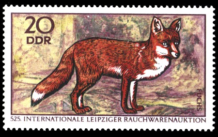 20 Pf Briefmarke: Internationale Rauchwarenauktion, Fuchs 20 Pf Briefmarke: Internationale Rauchwarenauktion, Fuchs