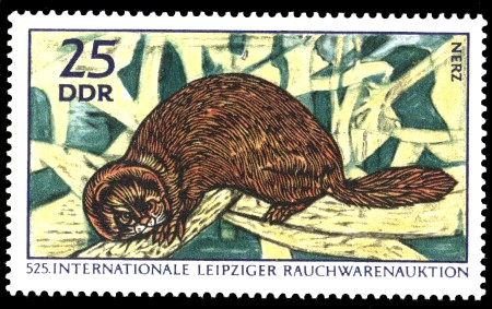 25 Pf Briefmarke: Internationale Rauchwarenauktion, Nerz 25 Pf Briefmarke: Internationale Rauchwarenauktion, Nerz
